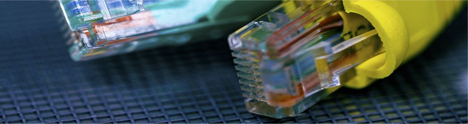 IT Support with over 20 years of experience